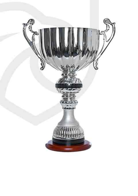 https://caniballs.xyz/wp-content/uploads/2022/11/trophy_overlay_01.jpg