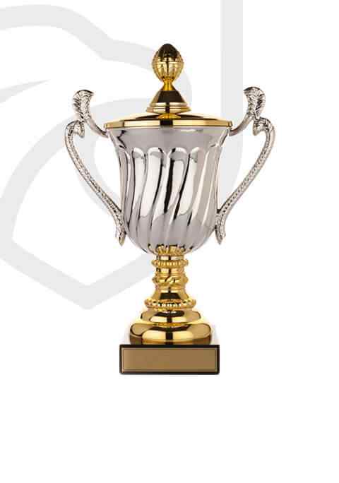 https://caniballs.xyz/wp-content/uploads/2022/11/trophy_overlay_02.jpg